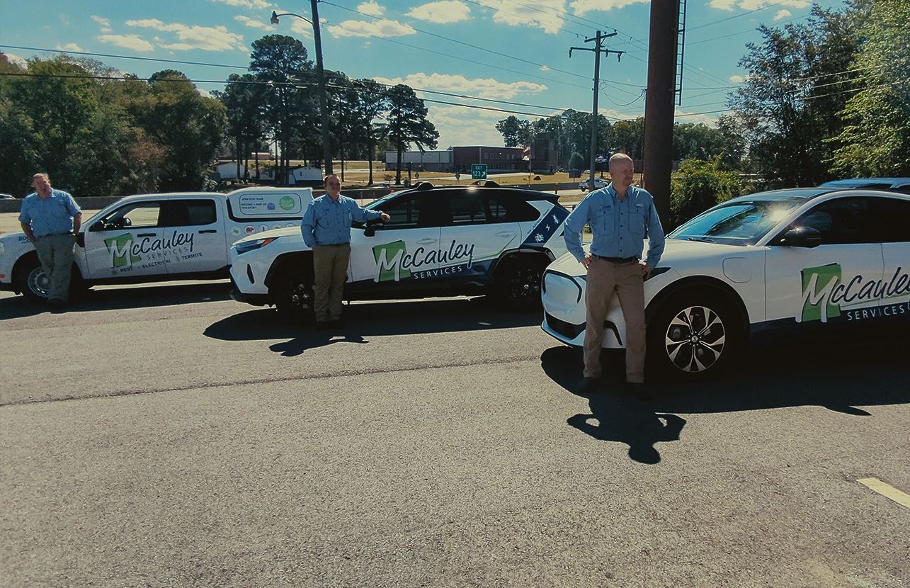 Residential Pest Control in Arkansas McCauley Services