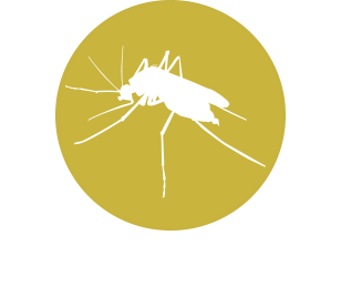 Mosquitoes Image