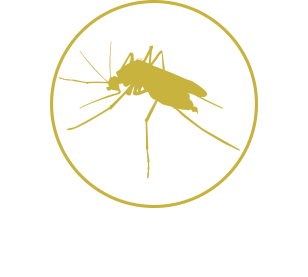 Mosquitoes Image