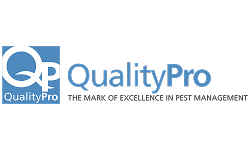 Quality Pro Certified